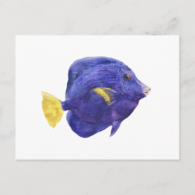 Carte Postale Illustration aquarelle de poisson tang violet (Devant)