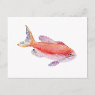 Carte Postale Illustration aquarelle du poisson Anthias Carberry