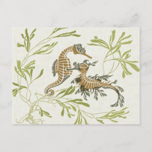 Carte Postale Illustration Art Nouveau Seahorse - Art modifié