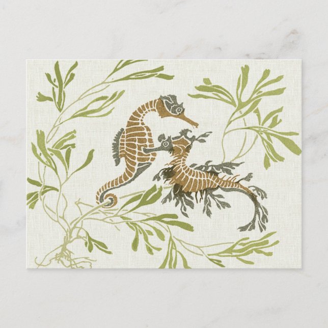 Carte Postale Illustration Art Nouveau Seahorse - Art modifié (Devant)