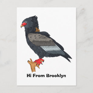 Carte Postale Illustration Bateleur Eagle