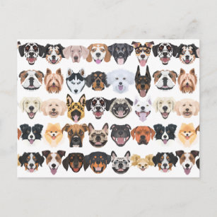 Carte Postale Illustration - Beaucoup rient et de jolies chiens