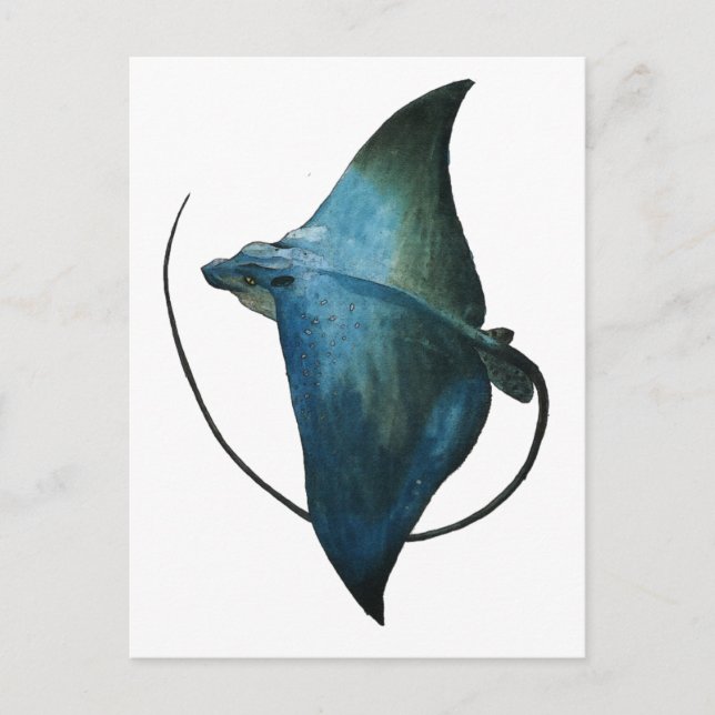 Carte Postale Illustration Blue Stingray (Devant)