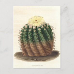 Carte Postale Illustration botanique de Cactus de 1841