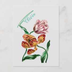 Carte Postale Illustration botanique de la tulipe vintage