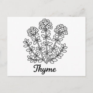 Carte Postale Illustration botanique de thym noir et blanc 