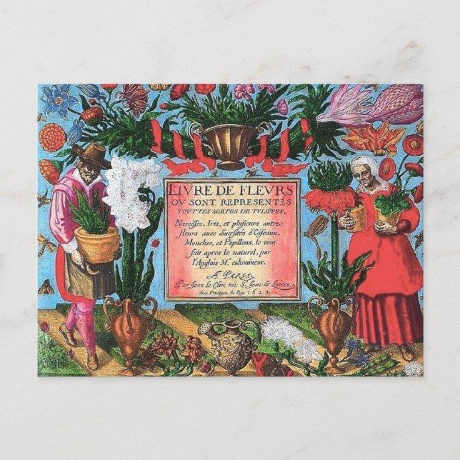 Carte Postale Illustration botanique française (Devant)