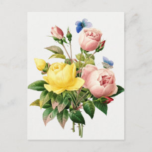 Carte Postale Illustration botanique vintage