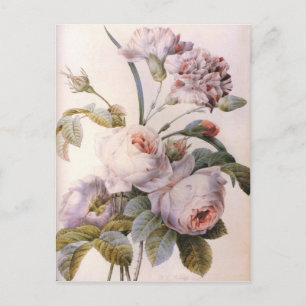 Carte Postale Illustration botanique vintage, rose rose