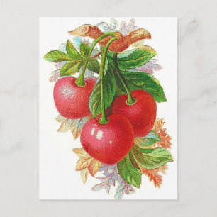 Carte Postale Illustration Cerises vintages