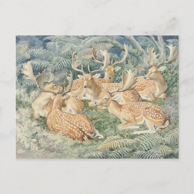 Carte postale Illustration classique (Devant)