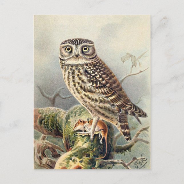 Carte postale Illustration classique (Devant)