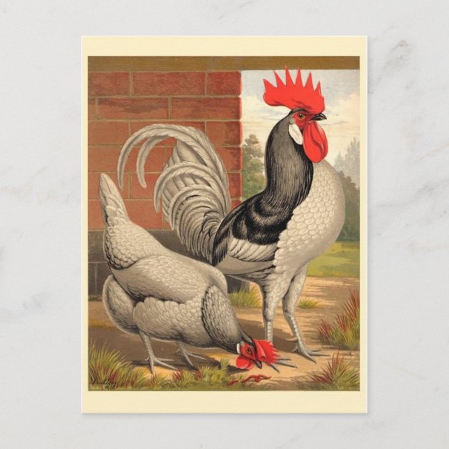 Carte postale Illustration classique (Devant)