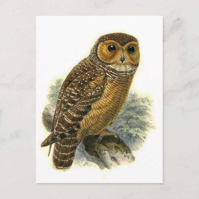 Carte postale Illustration classique (Devant)