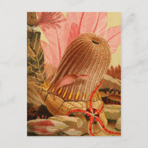 Carte postale Illustration classique