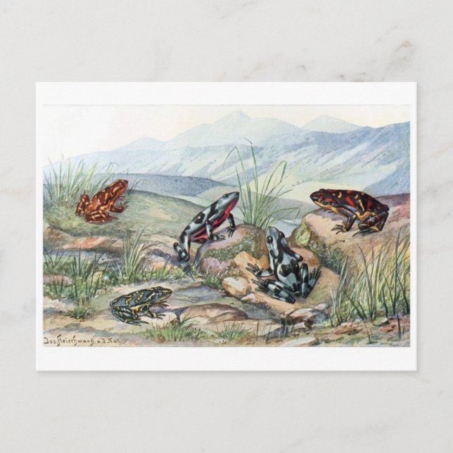 Carte postale Illustration classique (Devant)