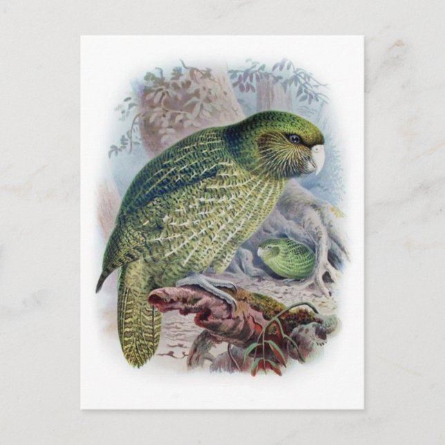 Carte postale Illustration classique (Devant)