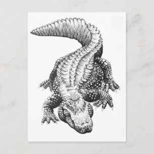 Carte postale Illustration classique