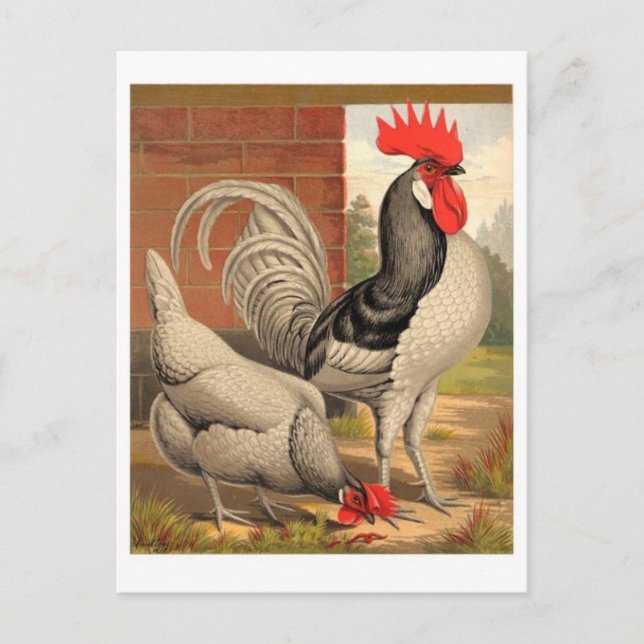 Carte postale Illustration classique (Devant)