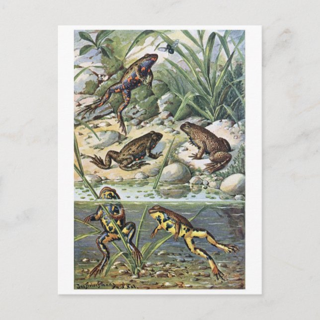 Carte postale Illustration classique (Devant)