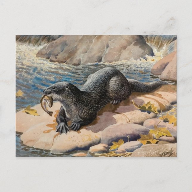 Carte postale Illustration classique (Devant)