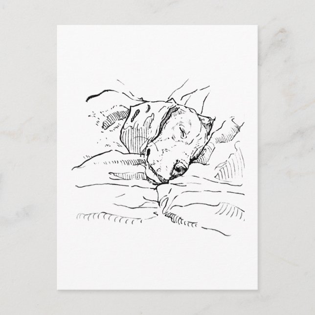 Carte Postale Illustration d'amour pour le chien Beagle  (Devant)