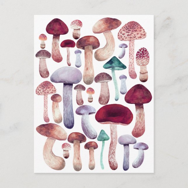 Carte Postale Illustration d'aquarelle colorée des champignons (Devant)