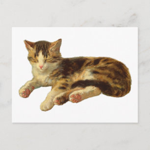 Carte Postale Illustration d'art vintage victorien de chat endor