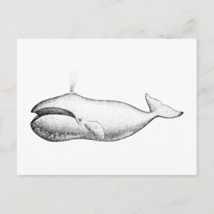 Carte Postale Illustration de baleine boréale vintage