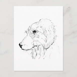 Carte Postale Illustration de Border Collie – Art minimaliste