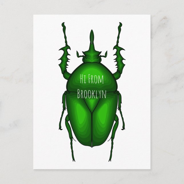 Carte Postale Illustration de bug Mecynorhina torquata (Devant)