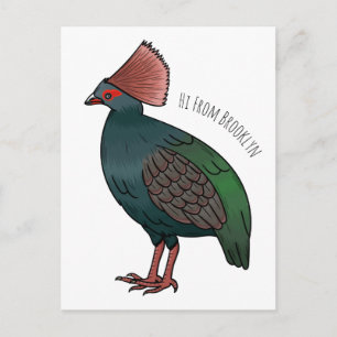 Carte Postale illustration de cartoon d'oiseau perdrix à toupet 