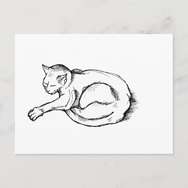 Carte Postale Illustration de chat endormi dessin à la plume Art (Devant)