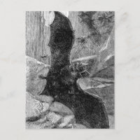 Illustration de chauve-souris 1885