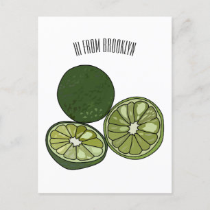 Carte Postale Illustration de chaux Kaffir