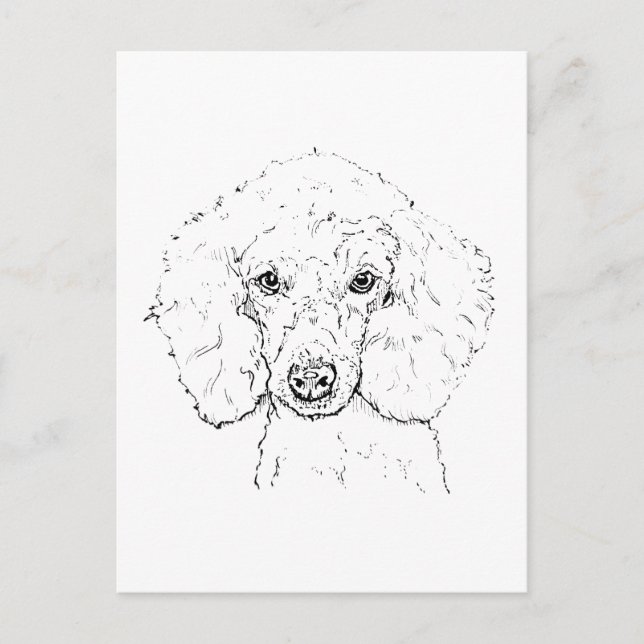 Carte Postale Illustration de chien caniche mignon, dessinée à l (Devant)