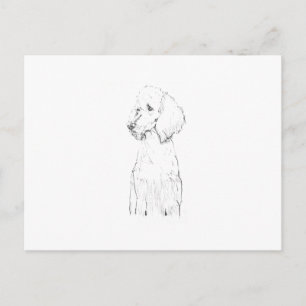 Carte Postale Illustration de chien Caniche Standard 