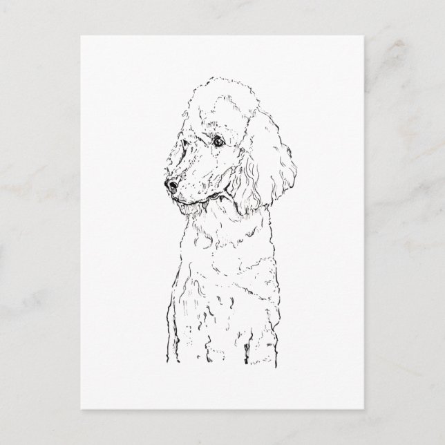 Carte Postale Illustration de Chien Caniche Standard - Art à l'E (Devant)