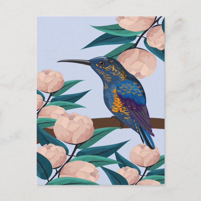 Carte Postale Illustration de colibri (Devant)