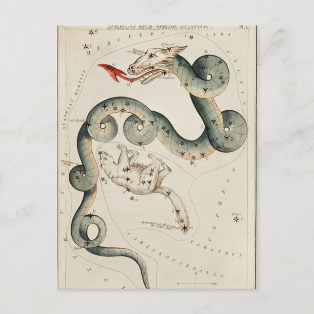 Carte Postale Illustration de constellation vintage (Devant)