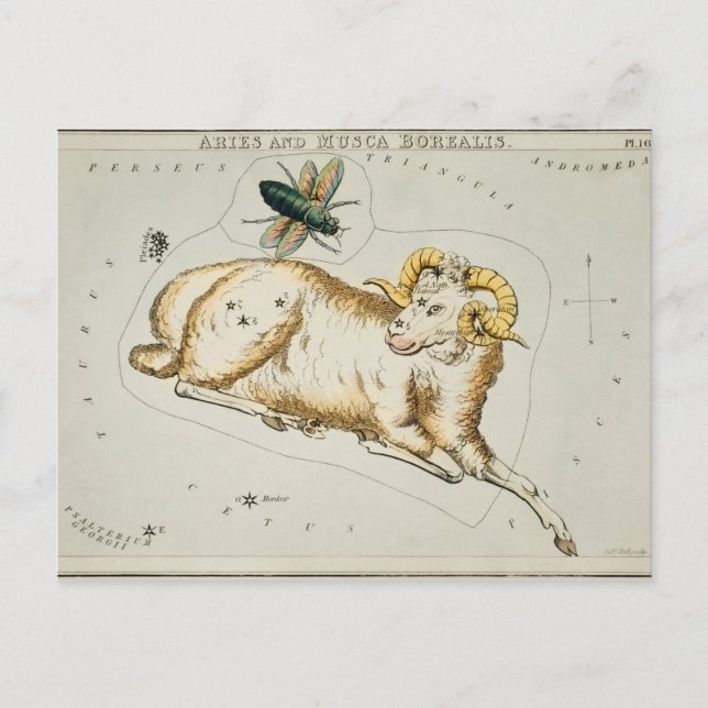 Carte Postale Illustration de constellation vintage (Devant)
