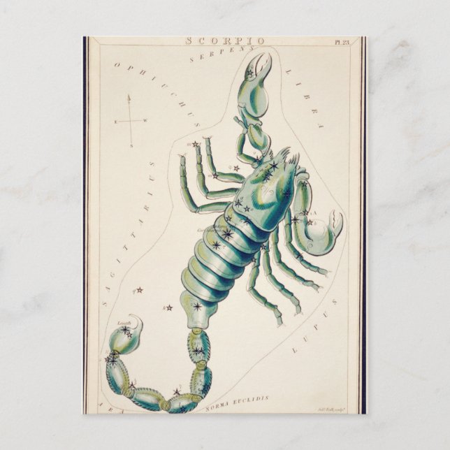 Carte Postale Illustration de constellation vintage (Devant)