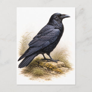 Carte Postale Illustration de corbeau de style vintage