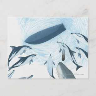 Carte Postale Illustration de dauphins regardant un bateau