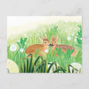 Carte Postale Illustration de faons dans les hautes herbes