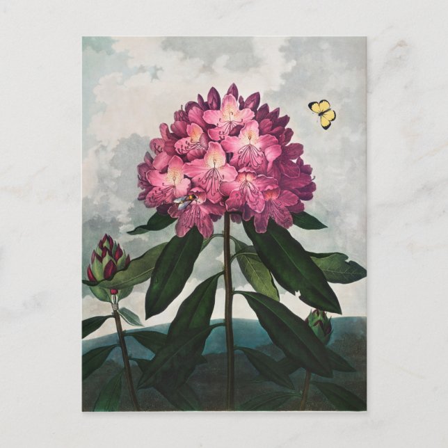 Carte Postale Illustration de fleurs vintage (Devant)