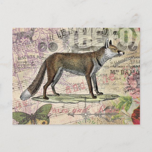 Carte Postale Illustration de Fox Wildlife Vintage Animal (Devant)