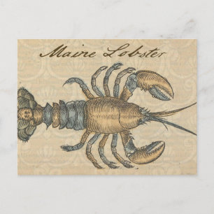 Carte Postale Illustration de homard, fruits de mer du Maine