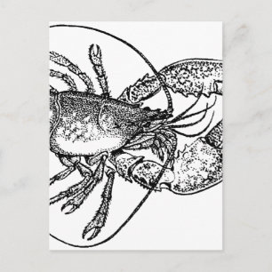 Carte Postale Illustration de homard vintage