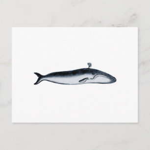 Carte Postale Illustration de la baleine bleue (crachage)